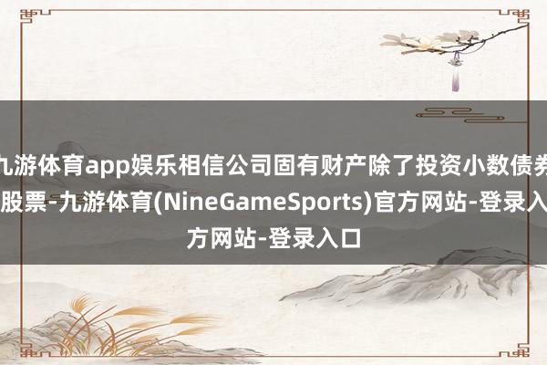 九游体育app娱乐相信公司固有财产除了投资小数债券和股票-九游体育(NineGameSports)官方网站-登录入口